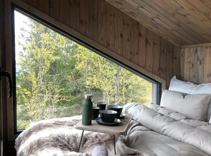 Baugsberget Fjelltopphytter Lodger Alvdal